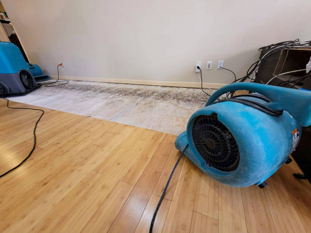Professional Structural Drying technician working in Lakeview, GA